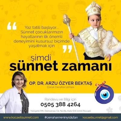 Dr. Cir. Arzu Özyer Bektaş