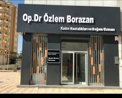 د. جراح Özlem Borazan