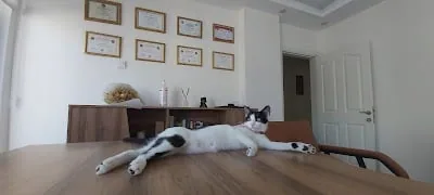 Uzman Psikolog Ayşe Ceren Gürbüz