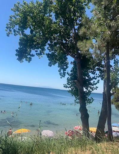 Uzman Psikolog Uzman Psikolog Tutkunur Ünlü