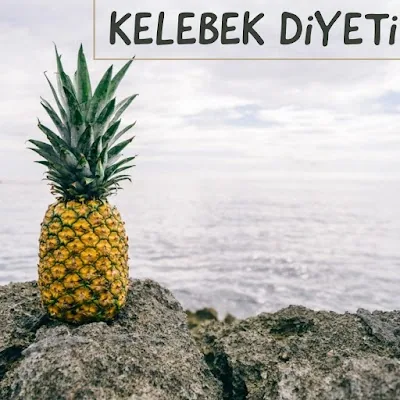BEGÜM KURAN BESLENME DANIŞMANLIK